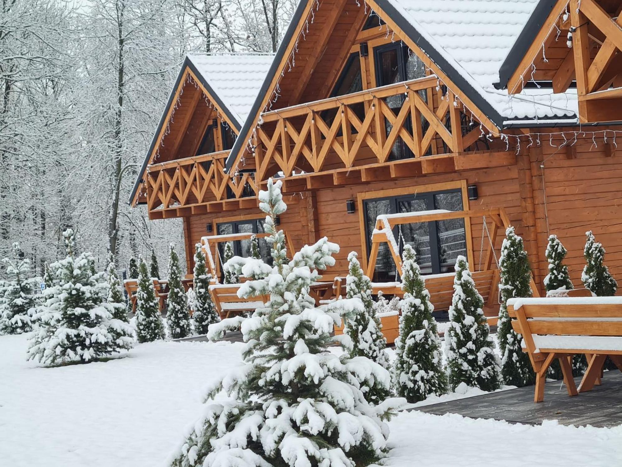 Sloneczne Domki Sudety - Domki Caloroczne Kotlina Klodzka Stary Waliszow Bagian luar foto