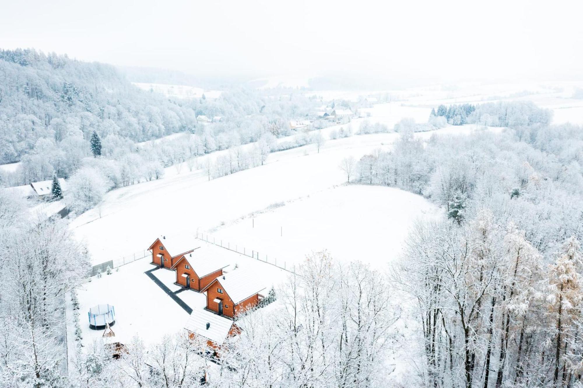 Sloneczne Domki Sudety - Domki Caloroczne Kotlina Klodzka Stary Waliszow Bagian luar foto