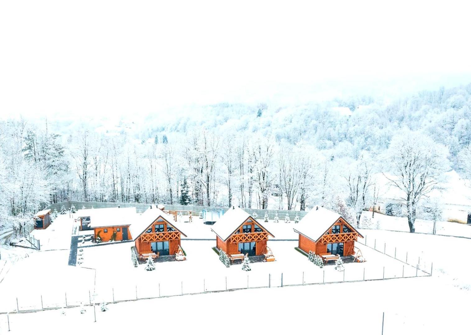 Sloneczne Domki Sudety - Domki Caloroczne Kotlina Klodzka Stary Waliszow Bagian luar foto