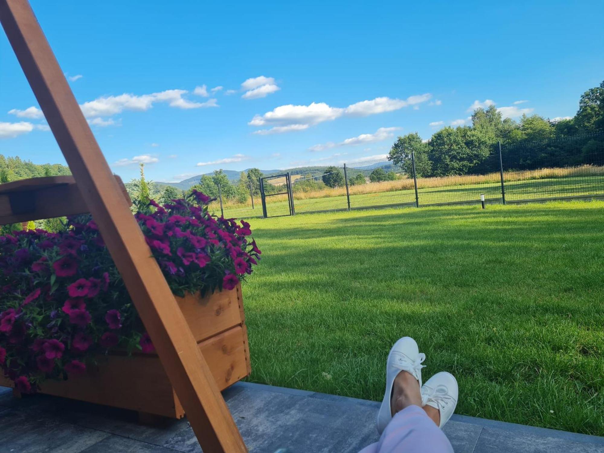 Sloneczne Domki Sudety - Domki Caloroczne Kotlina Klodzka Stary Waliszow Bagian luar foto
