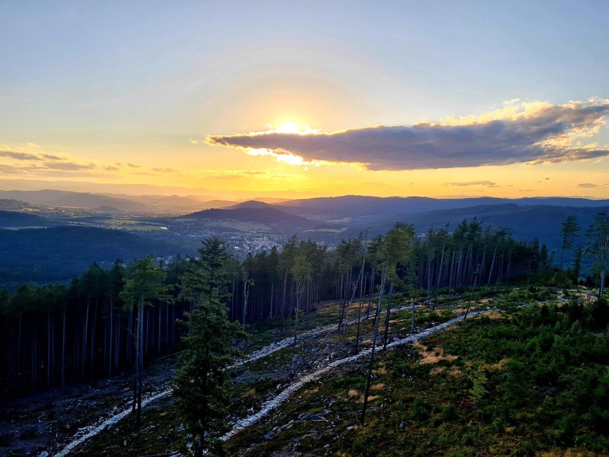 Sloneczne Domki Sudety - Domki Caloroczne Kotlina Klodzka Stary Waliszow Ruang foto